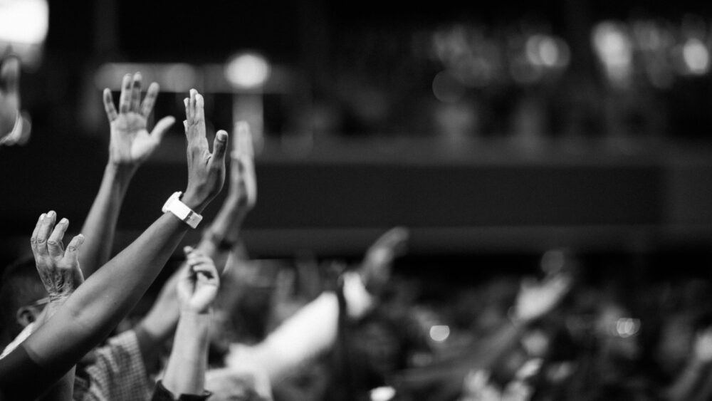 pexels-jibarofoto-2014773